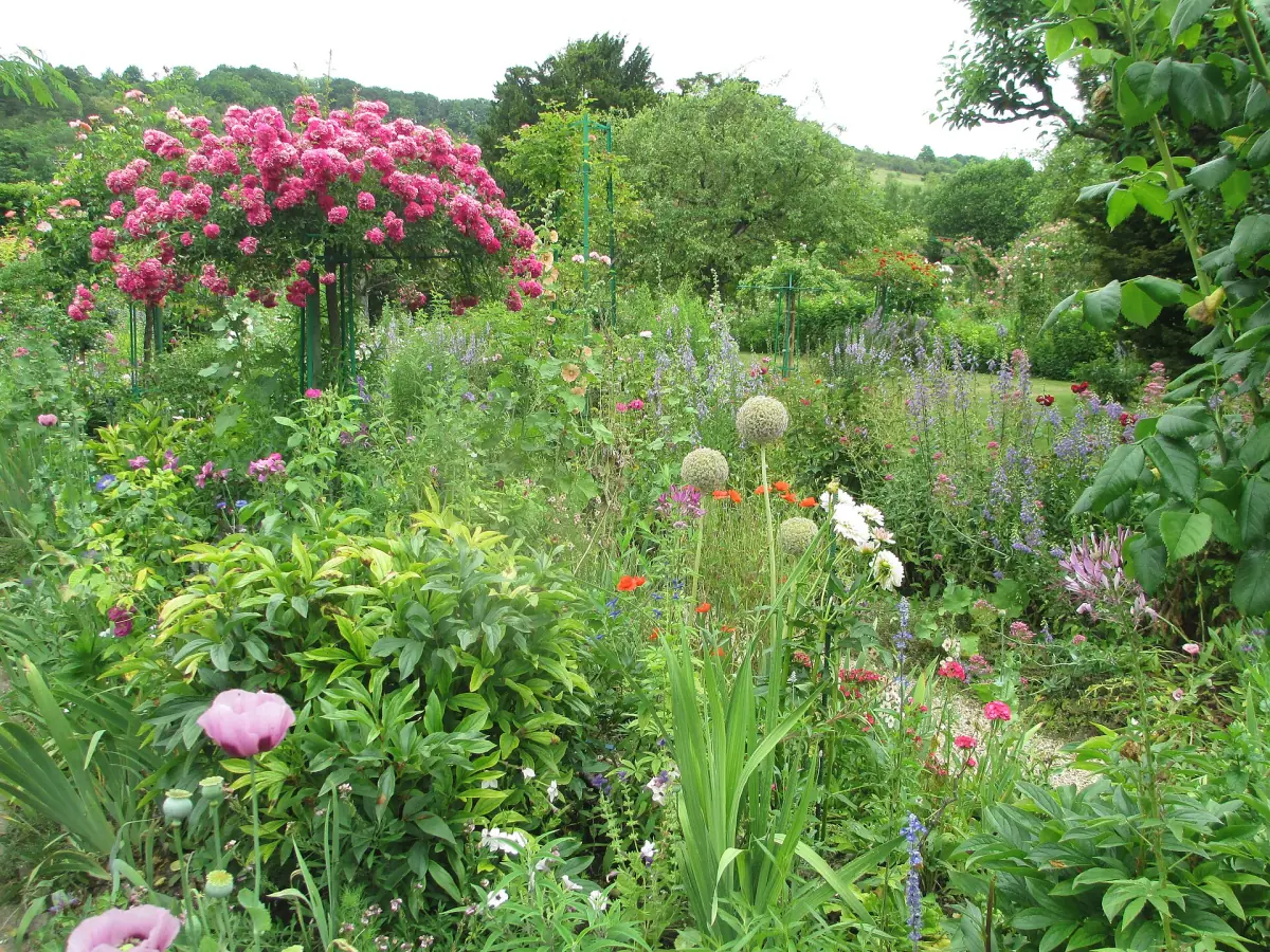 Flowers in Monet's garden at Giverny