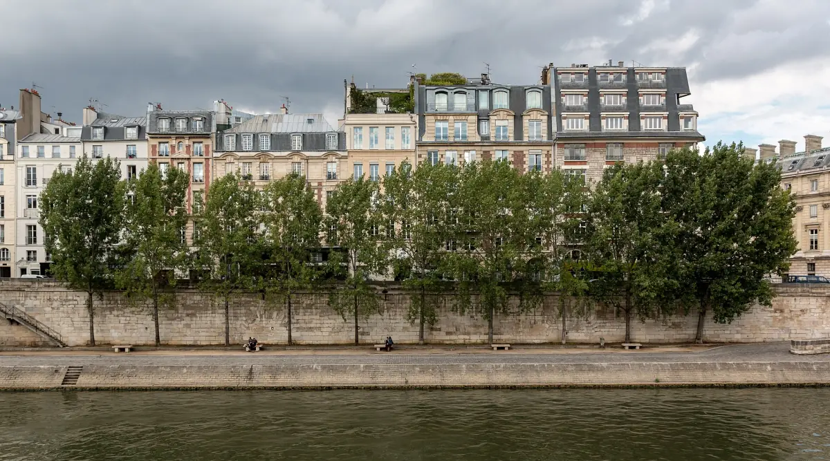 The tree-lined Quai des Orfèvres